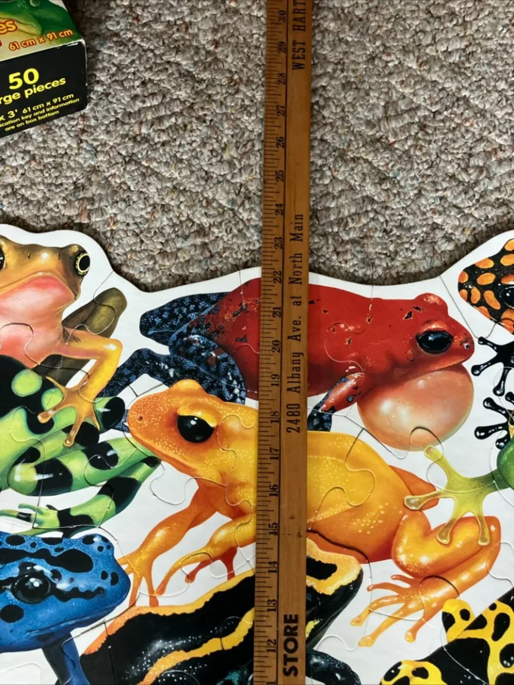 1996 Rainforest Frogs Floor Puzzle 50 Large Pieces 2'x3' Ages 4 and Up, EUC